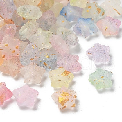 Frosted Acrylic Charms OACR-M023-04A-1