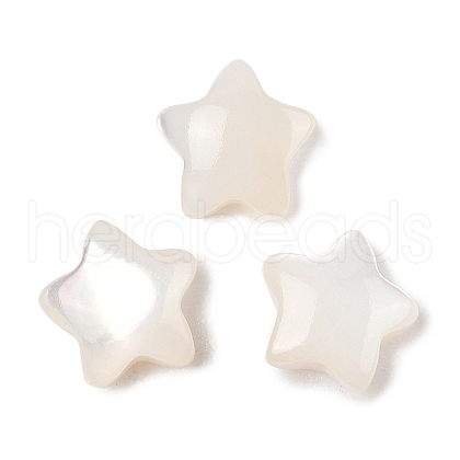 Natural White Shell Beads SSHEL-I026-11-1