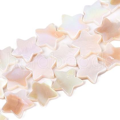 Natural Freshwater Shell Beads Strands SSHEL-N040-18-1