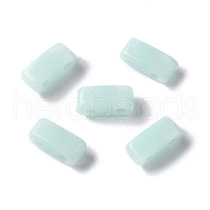 Opaque Acrylic Slide Charms OACR-Z010-02L-1