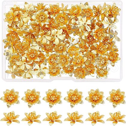 SUPERFINDINGS 3D Brass Bead Caps KK-FH0002-69B-1