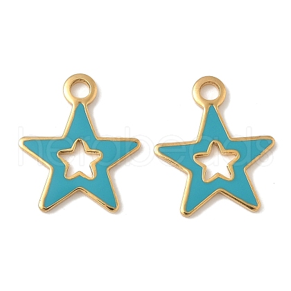 304 Stainless Steel Enamel Charms STAS-U057-13G-02-1