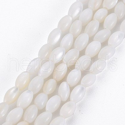 Natural Freshwater Shell Beads Strands X-SHEL-N027-08A-1