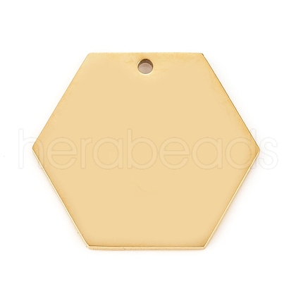 304 Stainless Steel Pendants STAS-L238-087-G-1
