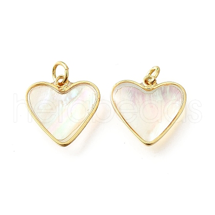 Natural White Shell & Epoxy Resin Charms KK-E794-02G-06-1