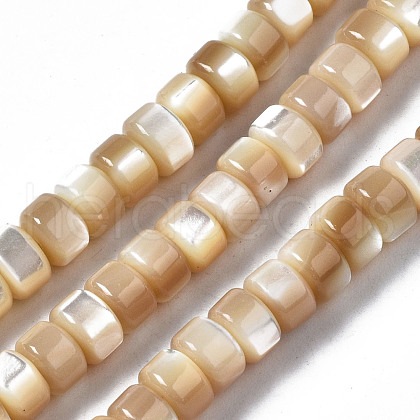 Natural Trochid Shell/Trochus Shell Beads Strands SSHEL-S266-016B-02-1