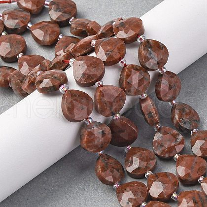 Natural Plum Blossom Jasper Beads Strands G-P570-E02-02-1