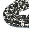 Natural Zebra Jasper Beads Strands G-A260-A52-01-3