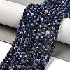 Natural Sodalite Beads Strands G-B107-A03-06-1
