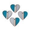 Transparent Resin & Wood Pendants RESI-T057-56A-1