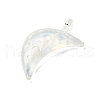 Handmade Lampwork Pendants LAMP-R001-06D-2