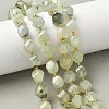 Natural Prehnite Beads Strands G-U023-A11-01-1