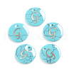 Synthetic Turquoise Charms G-L561-001G-1