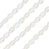 SUNNYCLUE 4 Strands Natural Cultured Freshwater Pearl Beads Strands PEAR-SC0001-13-1