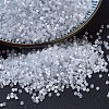MIYUKI Delica Beads SEED-X0054-DB0677-1