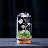 Natural Quartz Crystal Display Decorations G-PW0004-25A-1
