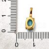 Ion Plating(IP) 304 Stainless Steel Rhinestone Pendants STAS-A104-11G-03-3