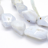 Natural Agate Beads Strands G-K202-02-3