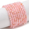 Natural Freshwater Shell Beads Strands SHEL-P017-01A-09-1