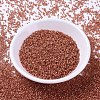 MIYUKI Delica Beads SEED-J020-DB2178-2