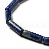 Natural Lapis Lazuli Beads Strands G-I326-05A-4