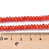 Natural Freshwater Shell Beads Strands SSHEL-C013-08A-4