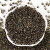 Transparent Inside Colours Glass Seed Beads X1-SEED-A032-04Q-2