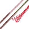 10 Skeins 6-Ply Polyester Embroidery Floss OCOR-K006-A17-3