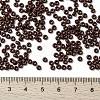 MIYUKI Round Rocailles Beads X-SEED-G008-RR0419-4