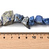 Natural Lapis Lazuli Beads Strands G-S386-C05-5