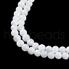 Natural Cultured Freshwater Shell Beads Strands X-BSHE-H109-03A-4