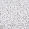13/0 Glass Seed Beads SEED-T005-14A-A09-4