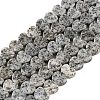 Natural Sesame Jasper Beads Strands G-M403-A19-02-1