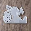 Easter Rabbit DIY Silicone Molds SIMO-H024-01B-4