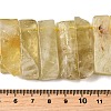 Natural Lemon Quartz Beads Strands G-S386-D20-5