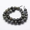 Natural Labradorite Beads Strands G-P322-31-12mm-2