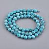 Dyed Natural Howlite Beads Strands TURQ-F010-12B-2