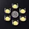 Transparent Acrylic Beads X1-MACR-S373-115-B05-4