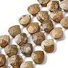 Natural Picture Jasper Beads Strands G-P570-E09-02-2