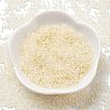 Transparent Inside Colours Glass Seed Beads X1-SEED-H003-04B-2
