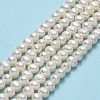 Natural Cultured Freshwater Pearl Beads Strands PEAR-F018-17B-01-2