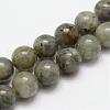 Natural Labradorite Bead Strands G-O155-05A-6mm-1