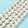 Natural Cultured Freshwater Pearl Beads Strands PEAR-E016-085-2