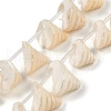 Natural Shell Beads Strands X-SHEL-K009-11-1