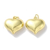 Rack Plating Brass Pendants KK-Z039-32B-G-1
