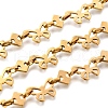 Ion Plating(IP) 304 Stainless Steel Butterfly Link Chains CHS-S012-10G-1