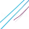 Segment Dyed Polyester Thread NWIR-I013-D-21-3