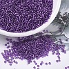MIYUKI Round Rocailles Beads X-SEED-G007-RR1345-1