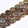 Natural Picasso Stone/Picasso Jasper Beads Strands G-S355-01-1