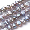 Natural Cultured Freshwater Pearl Beads Strands PEAR-R064-24-5